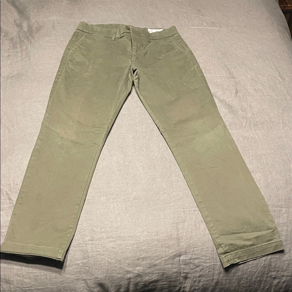 GAP Men's Sage Chinos